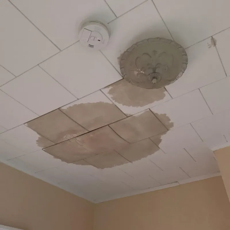 Ceiling Water Damage Repair in Briar, TX