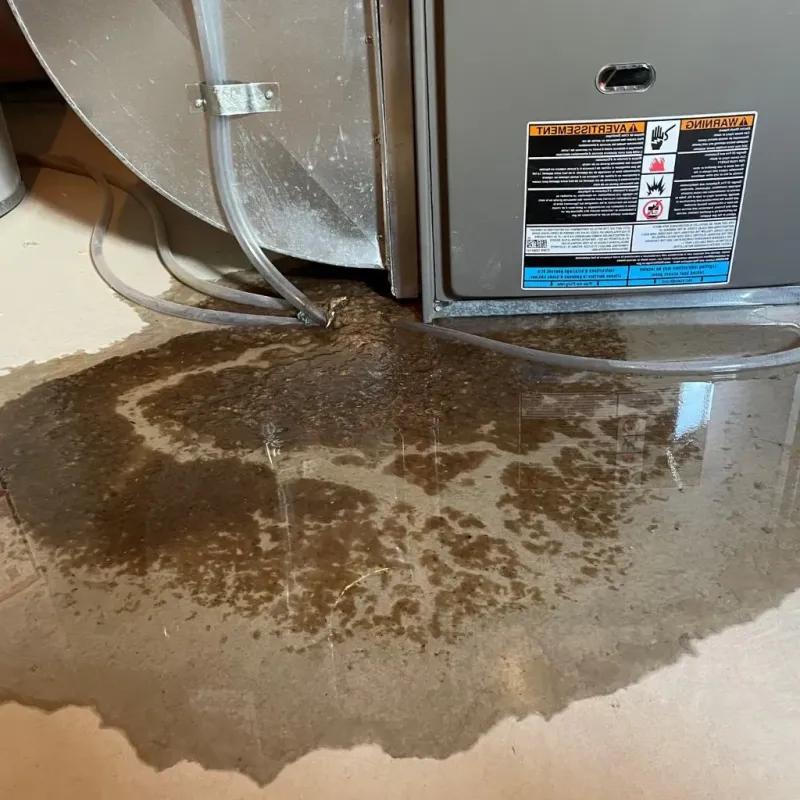 Pipe Burst and Leak Restoration in Briar, TX