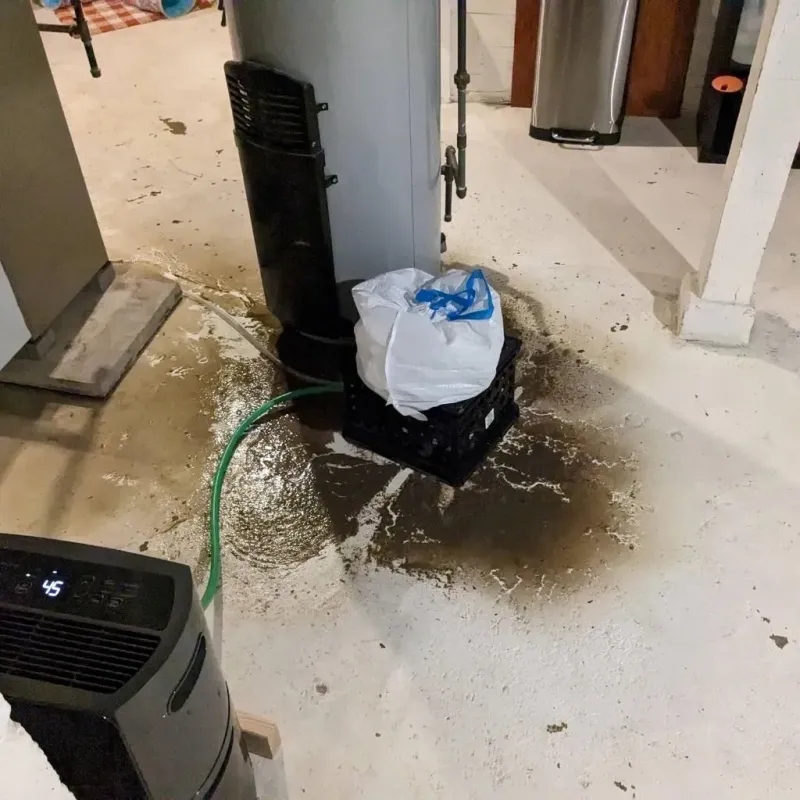 Sewage Backup Cleanup Service in Briar, TX
